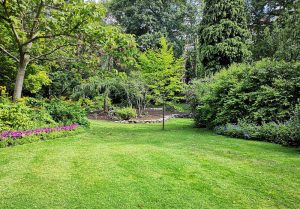 Optimiser l'expérience du jardin à La Haute-Beaume